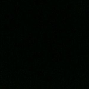 Meet your Posher, Leo